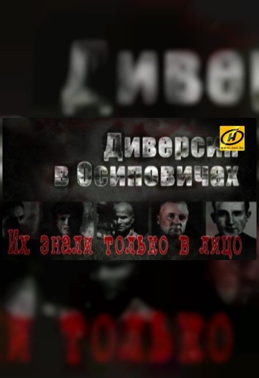 ДИВЕРСИЯ В ОСИПОВИЧАХ. ИХ ЗНАЛИ ТОЛЬКО В ЛИЦО