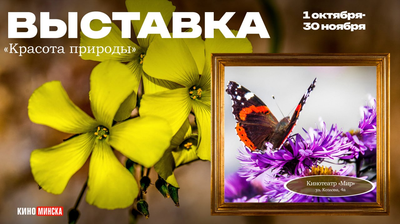 Фотовыставка «Красота природы» в кинотеатре «Мир»!
